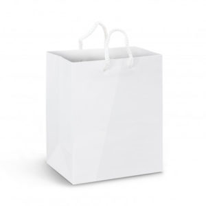 Medium Laminated Paper Carry Bag â€“ Full Colour